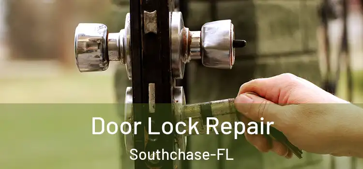 Door Lock Repair Southchase-FL