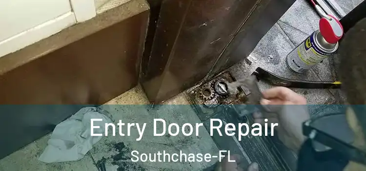 Entry Door Repair Southchase-FL