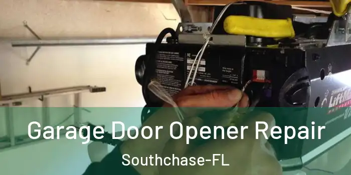 Garage Door Opener Repair Southchase-FL