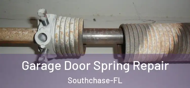 Garage Door Spring Repair Southchase-FL