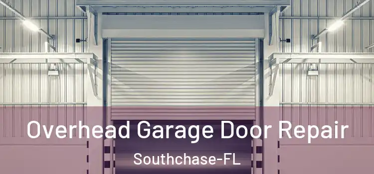 Overhead Garage Door Repair Southchase-FL